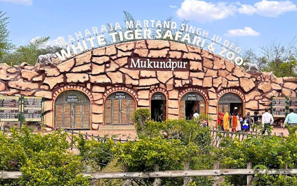 Mukundpur Zoo and White Tiger Safari